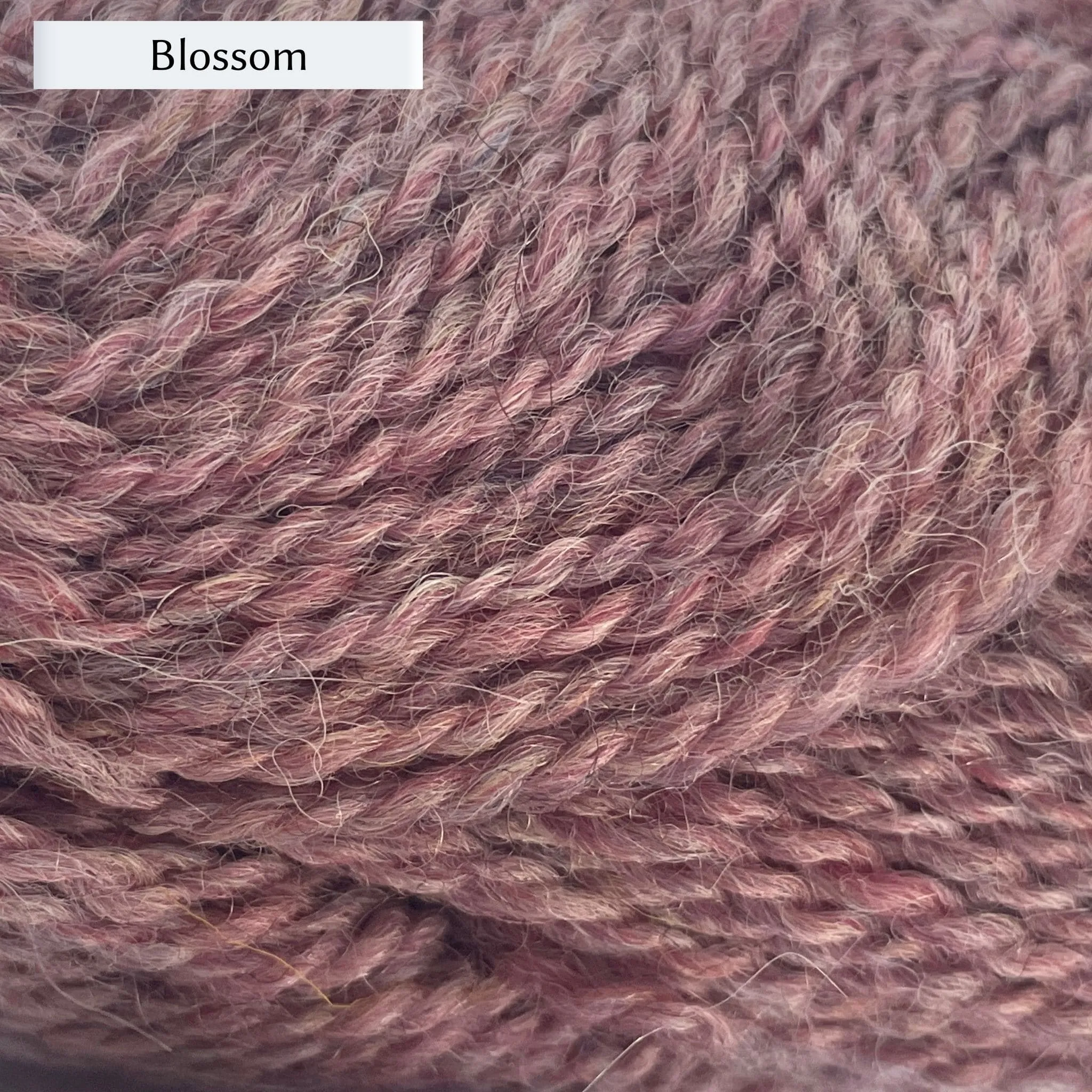 Marie Wallin's BRITISH BREEDS yarn