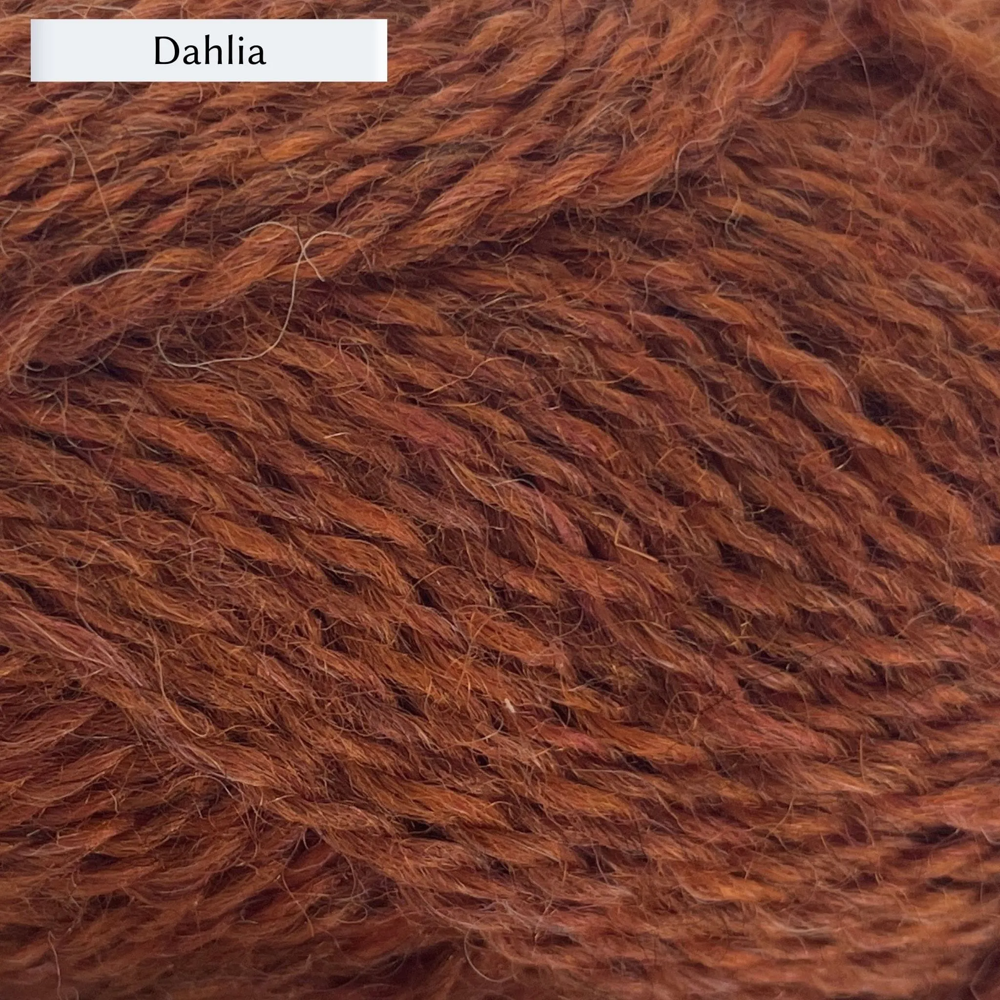 Marie Wallin's BRITISH BREEDS yarn