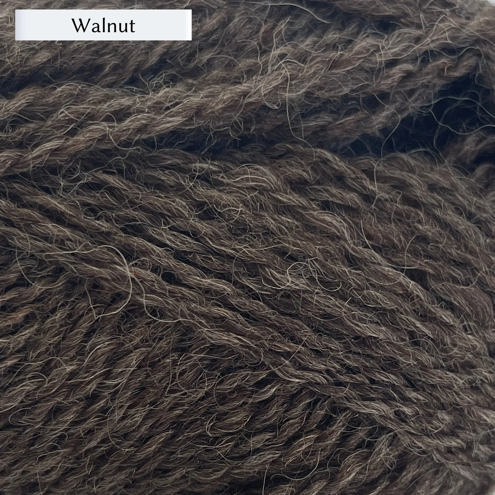 Marie Wallin's BRITISH BREEDS yarn