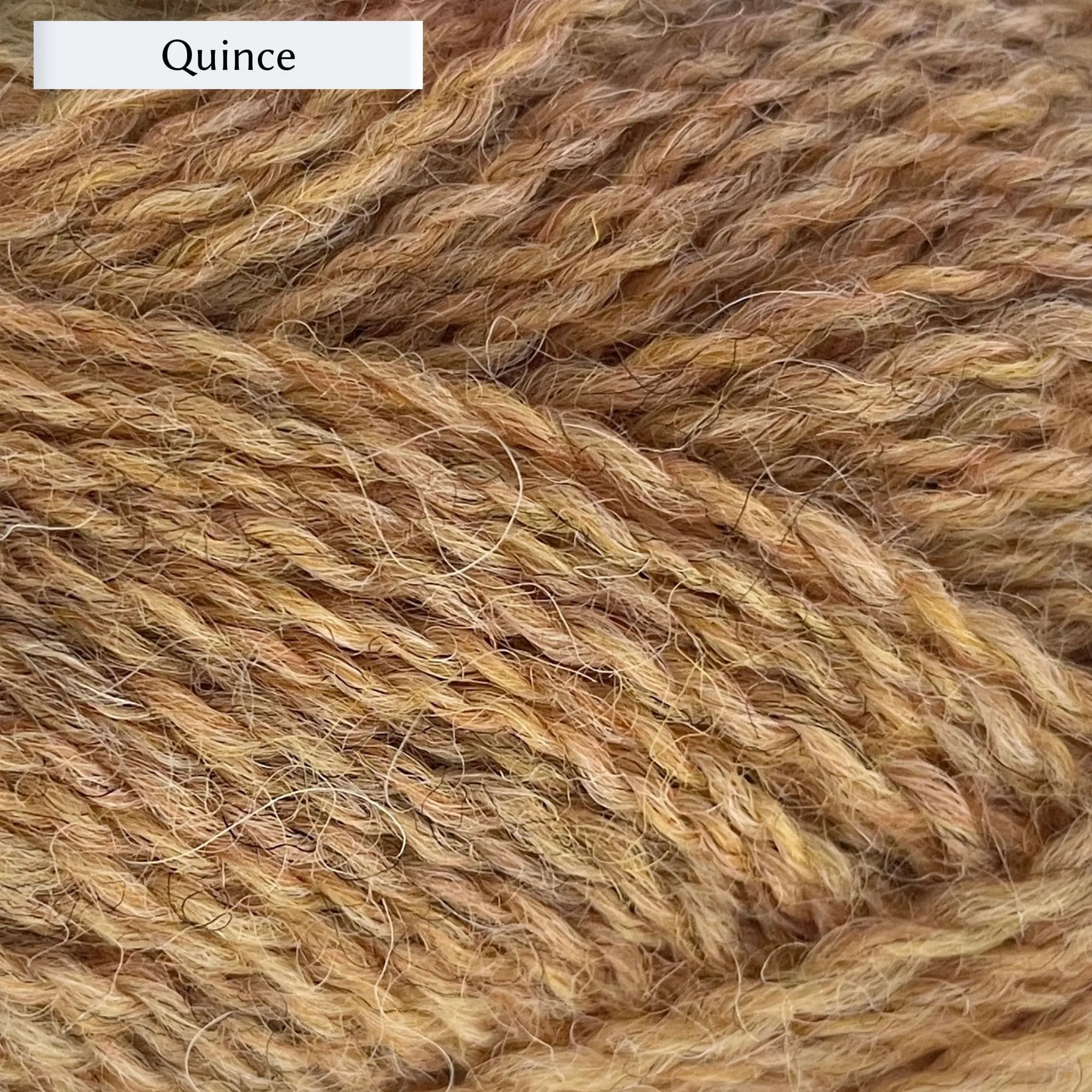 Marie Wallin's BRITISH BREEDS yarn